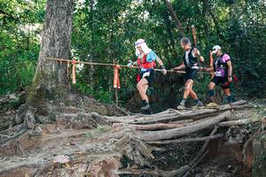 BIB: 
                            <button type="button" onclick="openModal(27304906)" class="btn btn-primary btn-sm float-right btn-popup" data-toggle="modal" data-target=".modal-high-quality">
                        <i class="fas fa-shopping-cart"></i> Add to Cart
                    </button>
                                            <button type="button" onclick="isThisMe(27304906, true)" class="btn btn-success btn-sm float-right btn-popup btn-isme hidden" data-toggle="tooltip" data-placement="bottom" title="นี่คือรูปของคุณใช่ไหม คลิกที่นี่เพื่อเอาเข้าอัลบั้ม">
                        <i class="fas fa-plus"></i> Add to album
                    </button>
                    <button type="button" onclick="isThisMe(27304906, false)" class="btn btn-warning btn-sm float-right btn-popup btn-isnotme hidden">
                        <i class="fas fa-ban"></i> Remove from album
                    </button>